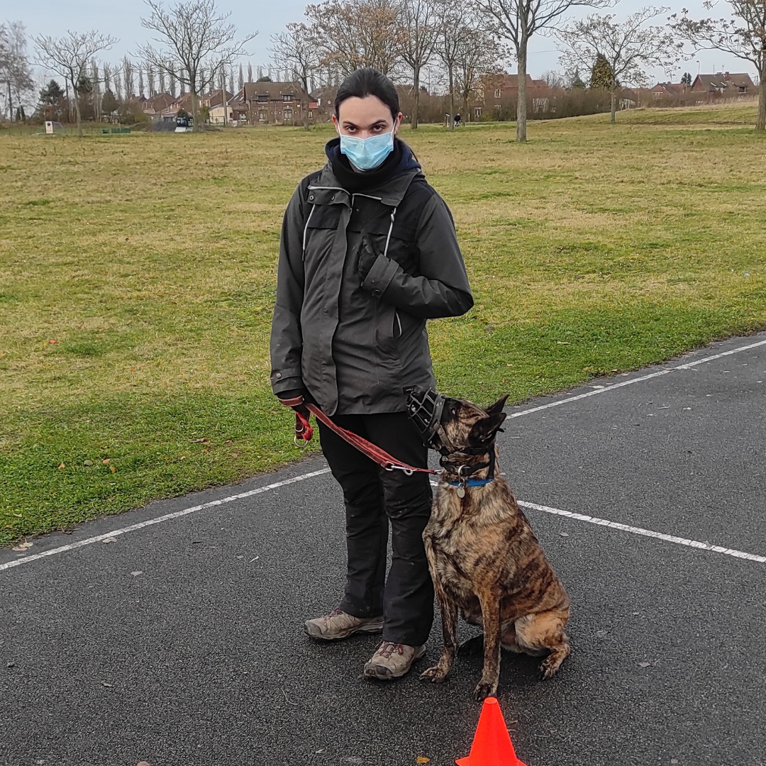 Cours individuel éducation chien, Cours d’éducation canine individuel, Séances d’éducations canines individuelles, Dressage canin individuel, Cours individuel pour chien à domicile,  Cours d’éducation canine à domicile, Dressage canin à domicile, Séance d’éducation canine à domicile, Cours pour chien à petit prix, Dressage chien à petit prix, Séance pour chien à petit prix, Cours pour chien pas cher, Dressage pour chien pas cher